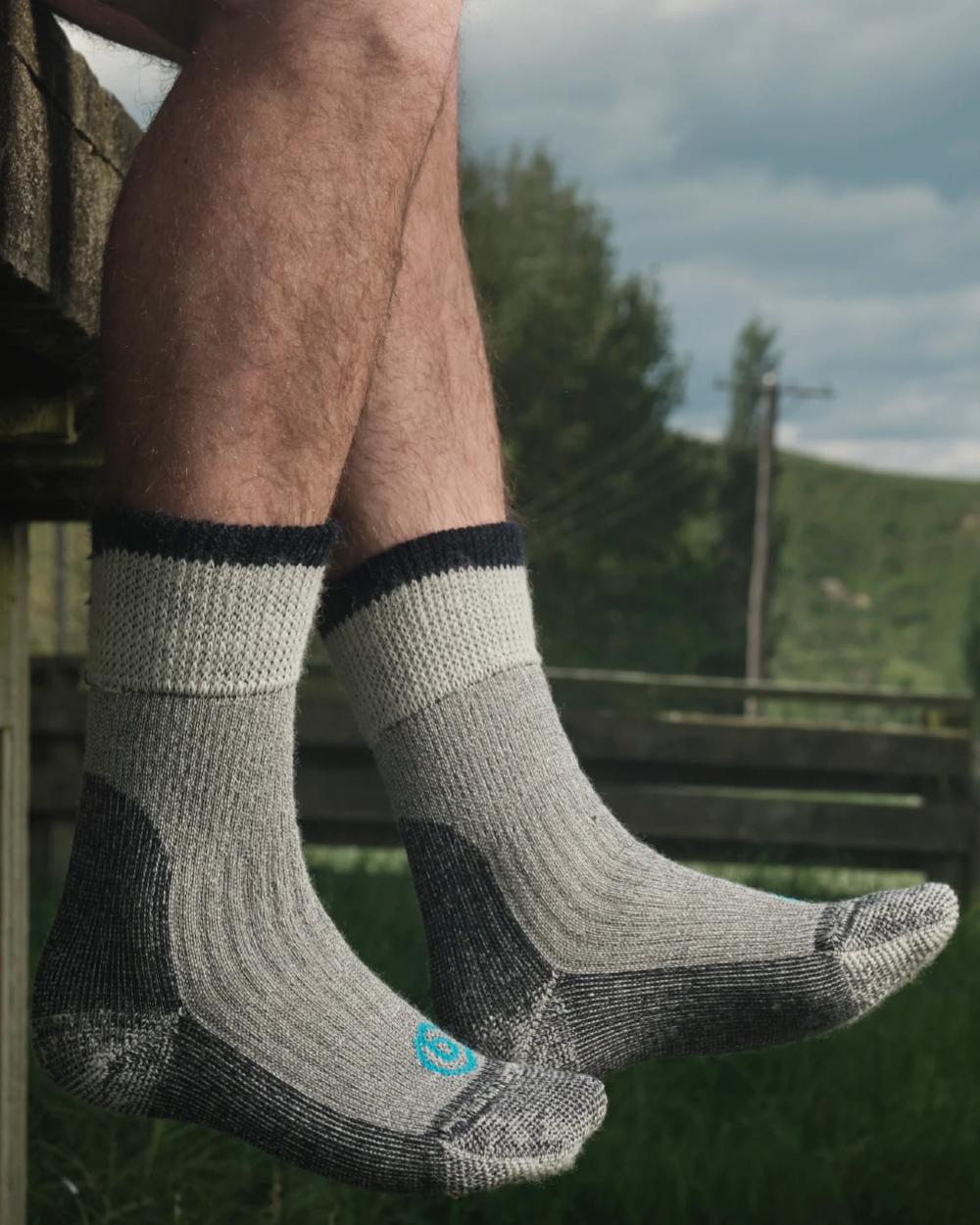 Grey coloured Betacraft Merino Work Calf Socks on farm background 
