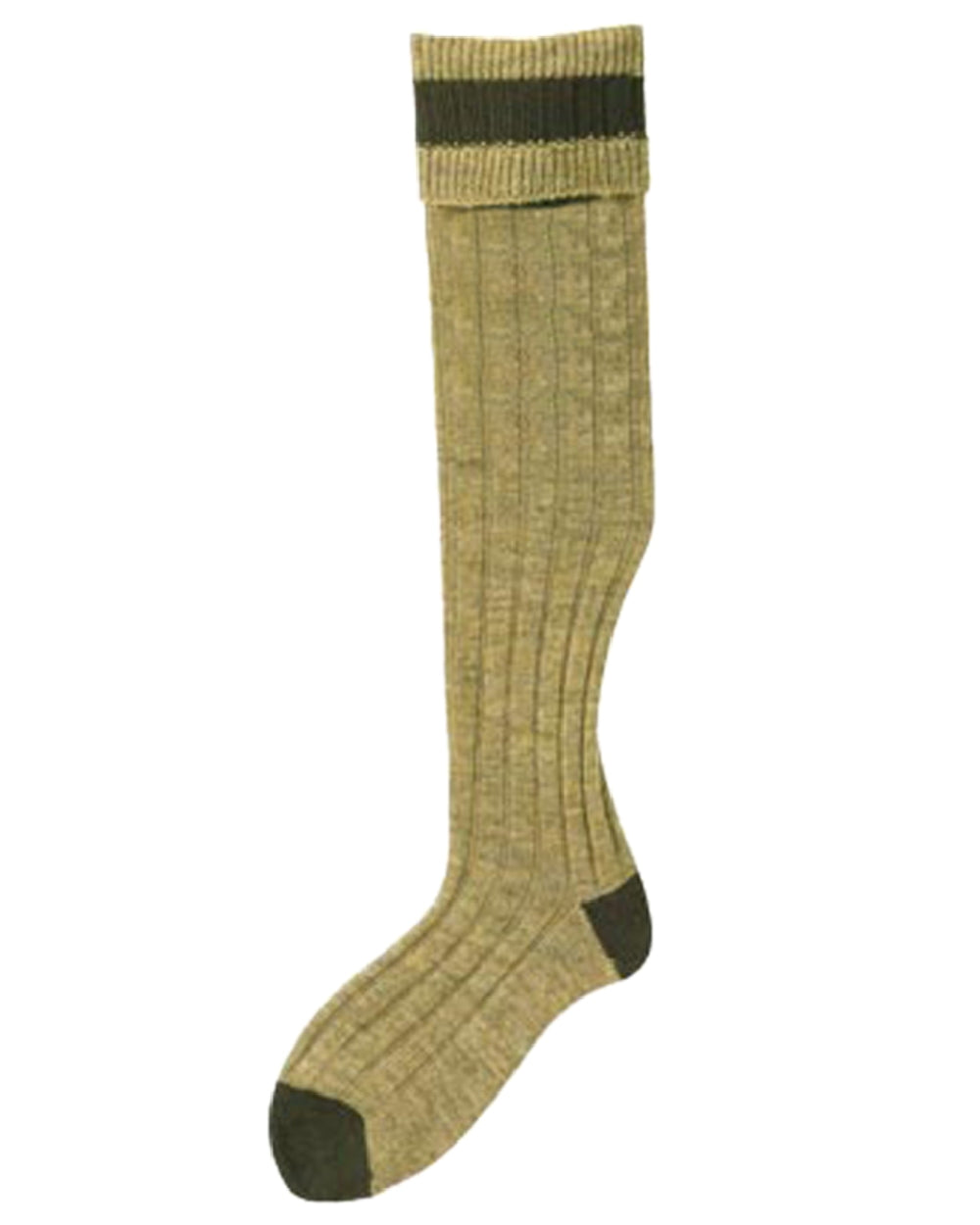 Antique Olive Coloured Bisley Stockings on white background 