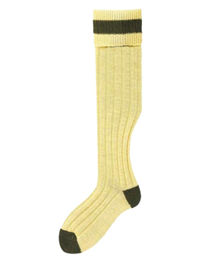 Mustard Olive Coloured Bisley Stockings on white background 