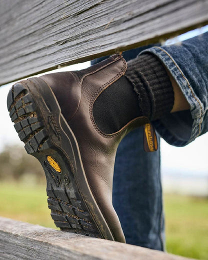 Cocoa Brown Coloured Blundstone 2057 Cocoa Brown Chelsea Boots on  outdoor background 