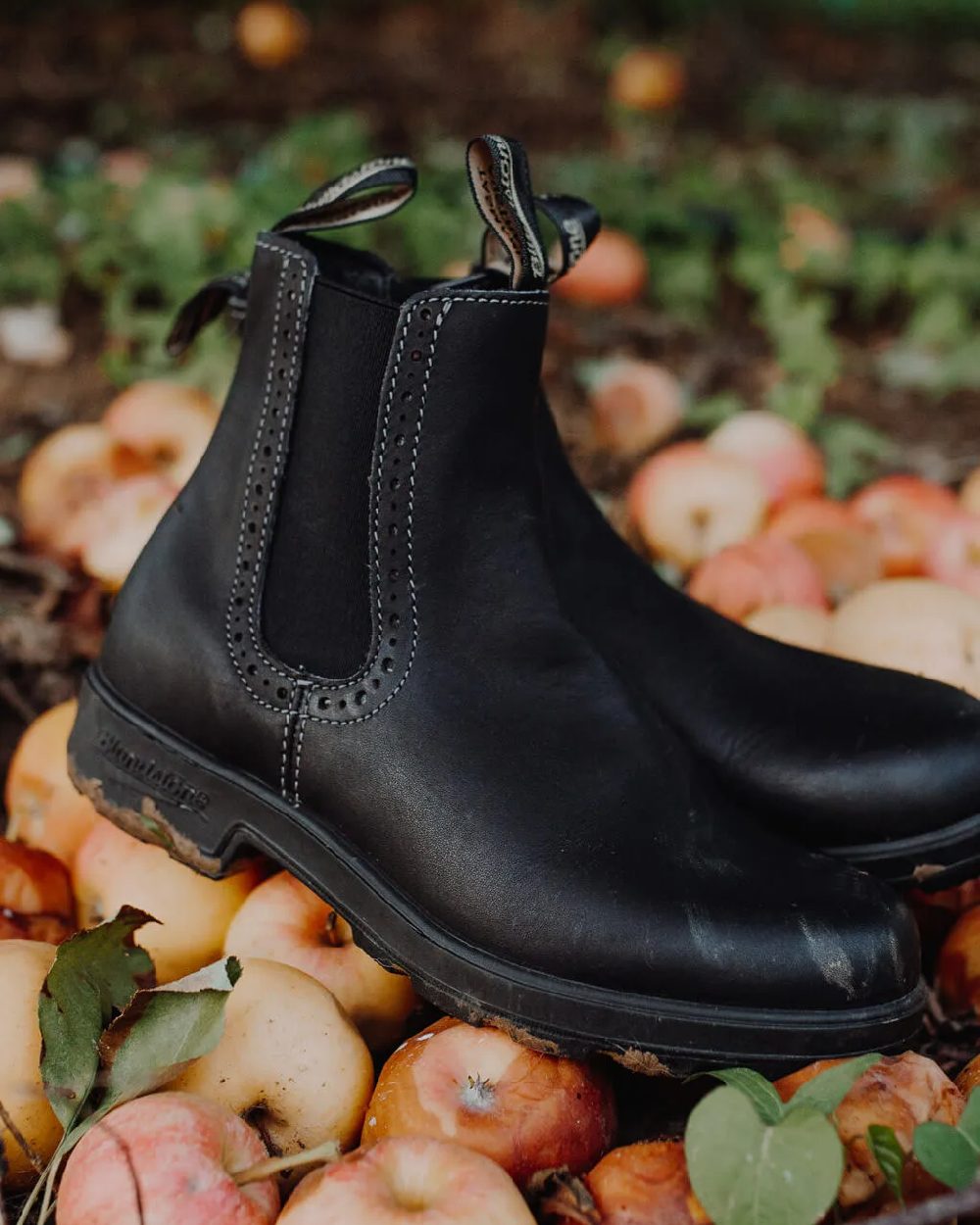 Black Coloured Blundstone Womens 1448 Black Chelsea Boots on outdoor background 