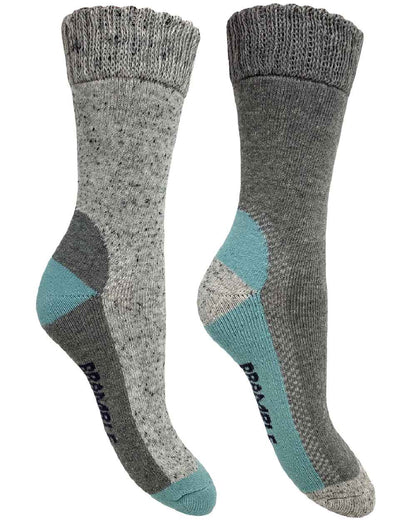 Grey Blue coloured Bramble Womens Weekend Rambler Socks Twin Pack on white background 