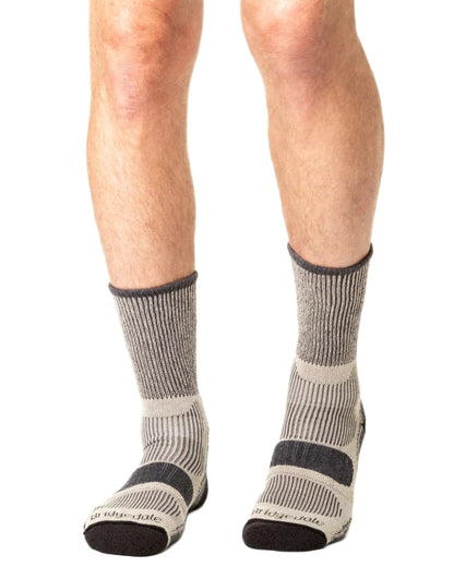 Charcoal coloured Bridgedale Lightweight Cotton Cool Socks on white background 