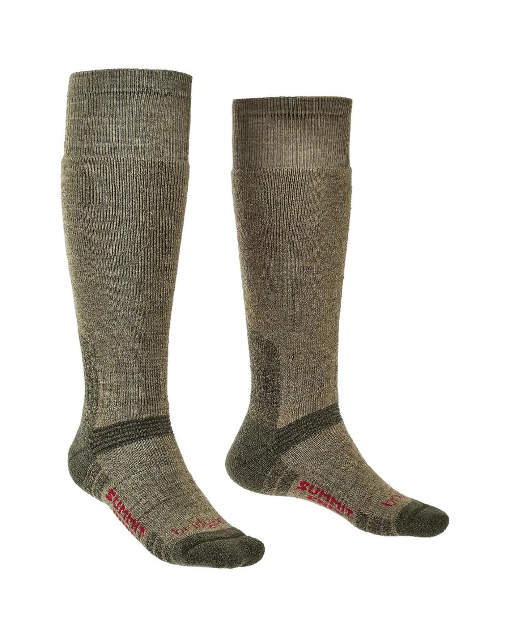 Green coloured Bridgedale Heavyweight Merino Performance Knee Socks on white background 