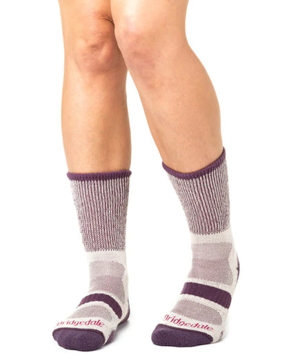 Plum coloured Bridgedale Womens Lightweight Coolmax Comfort Socks on white background 