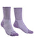 Violet coloured Bridgedale Womens Midweight Merino Comfort Boot Socks on white background #colour_violet