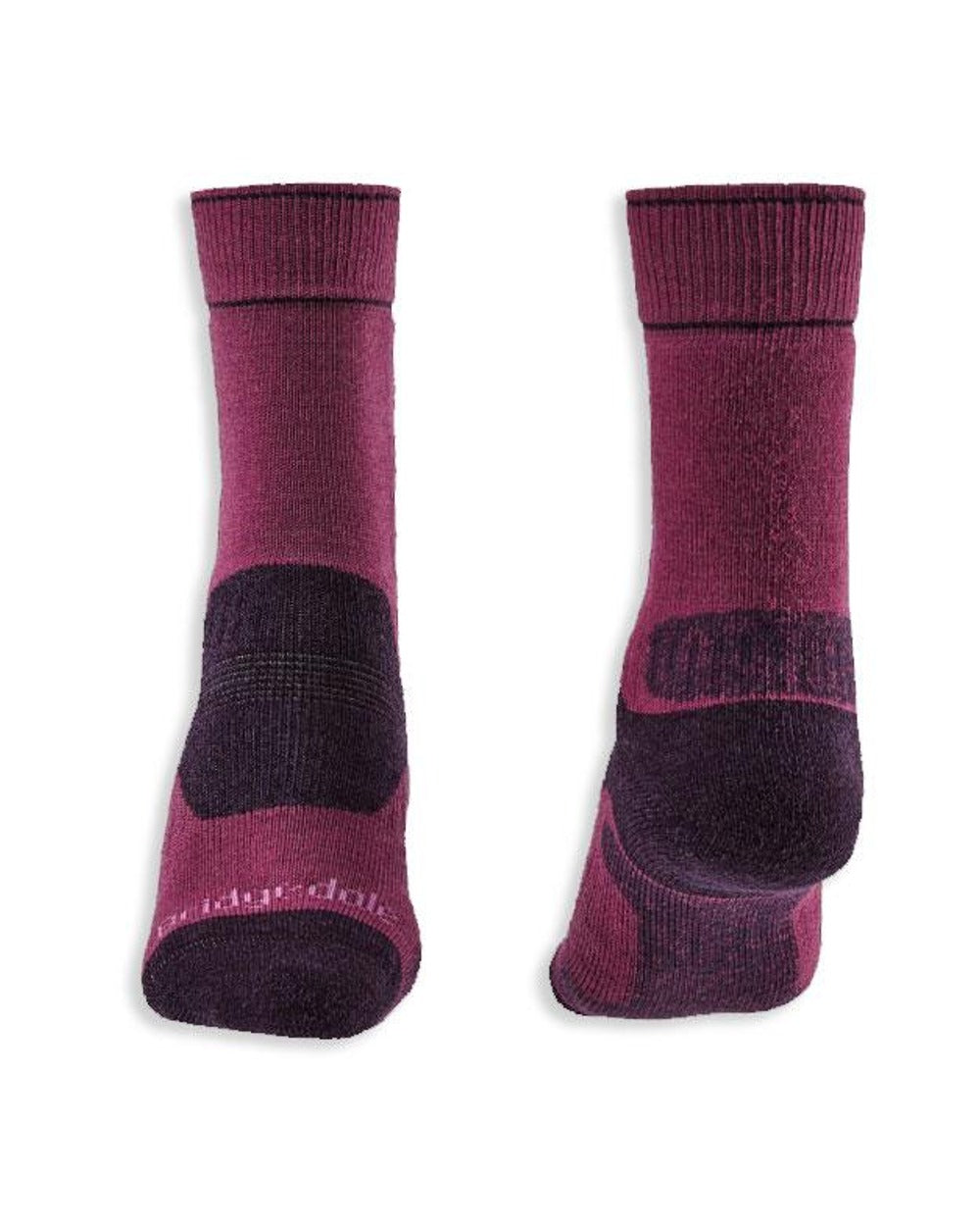 Berry/Plum Coloured Bridgedale Womens Midweight Merino Performance Socks On A White Background 