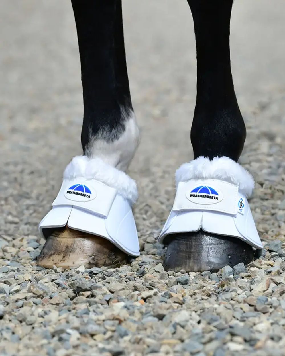 White Coloured WeatherBeeta Tough-Tec Impact Fleece Trim Bell Boots on horse background 