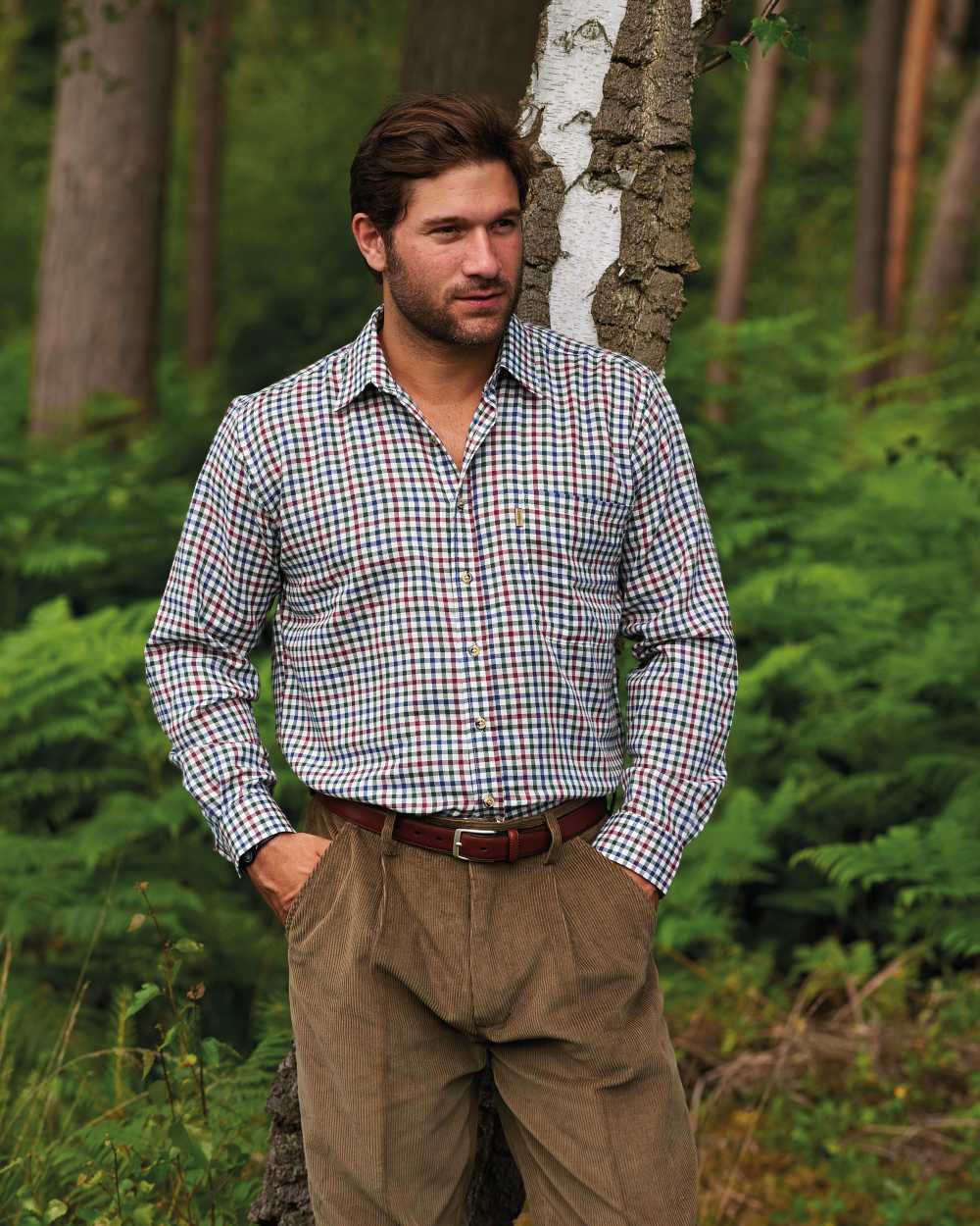 Wine Blue Green coloured Champion York Check Shirt on forest background 