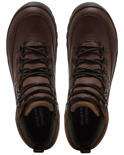 Dark Brown Coloured Chatham Mens Challacombe Premium Leather Waterproof Hiking Boots on white background 