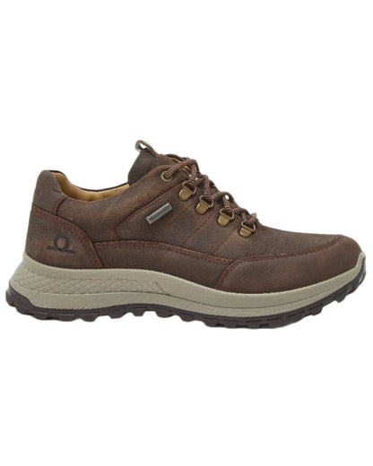 Dark Brown Coloured Chatham Mens Holgate Premium Waterproof Leather Hiking Shoes on white background 