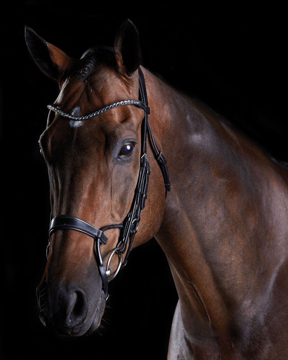 Black coloured Collegiate Comfitec Crystal Bridle on black background 