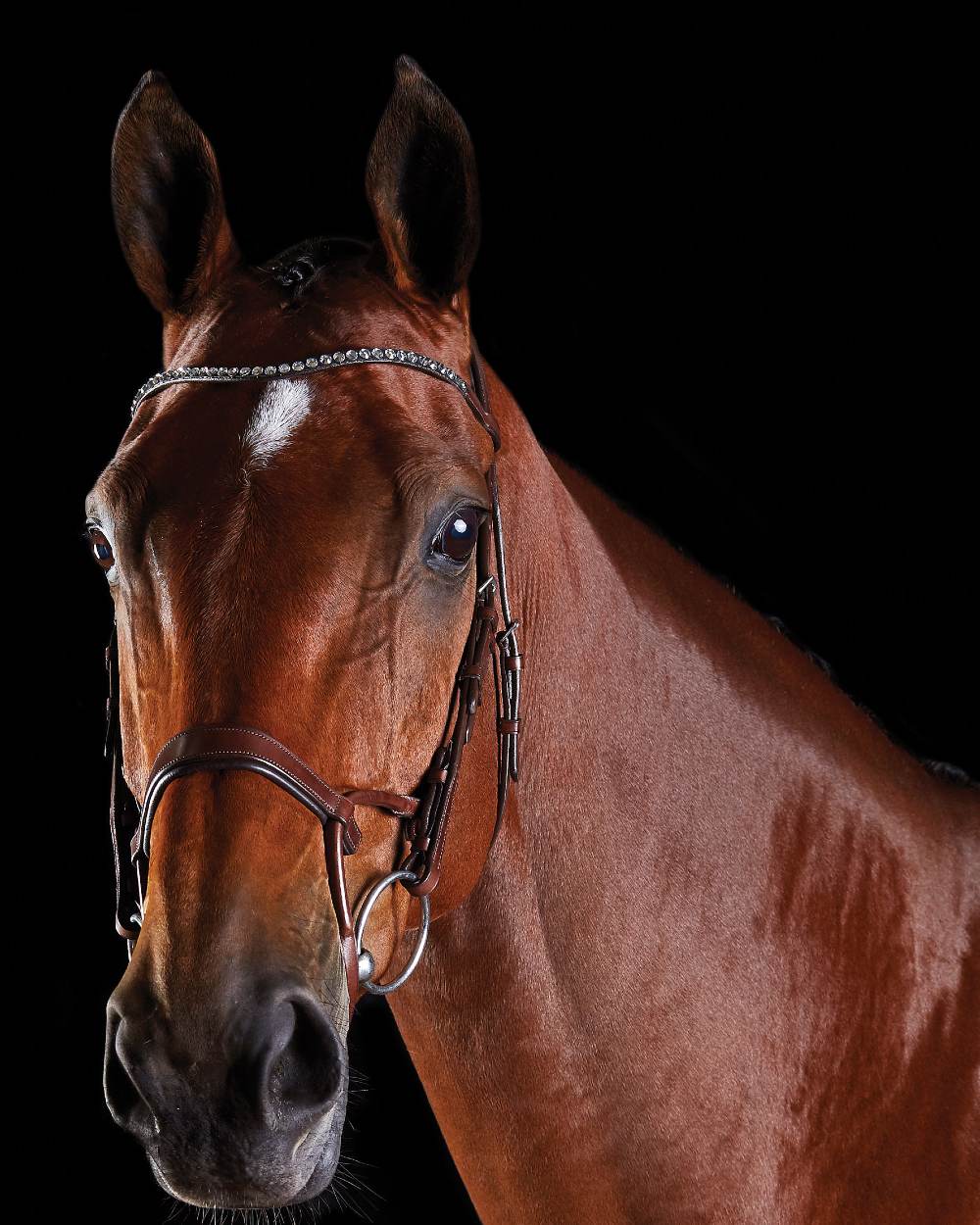 Brown coloured Collegiate Comfitec Crystal Bridle on black background 