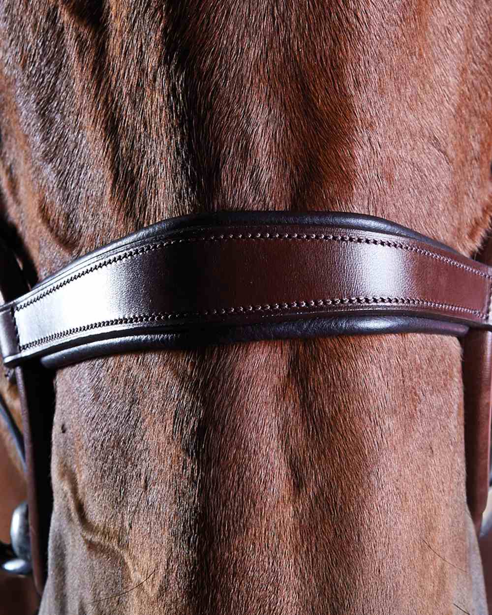 Brown coloured Collegiate Comfitec Crystal Bridle on black background 