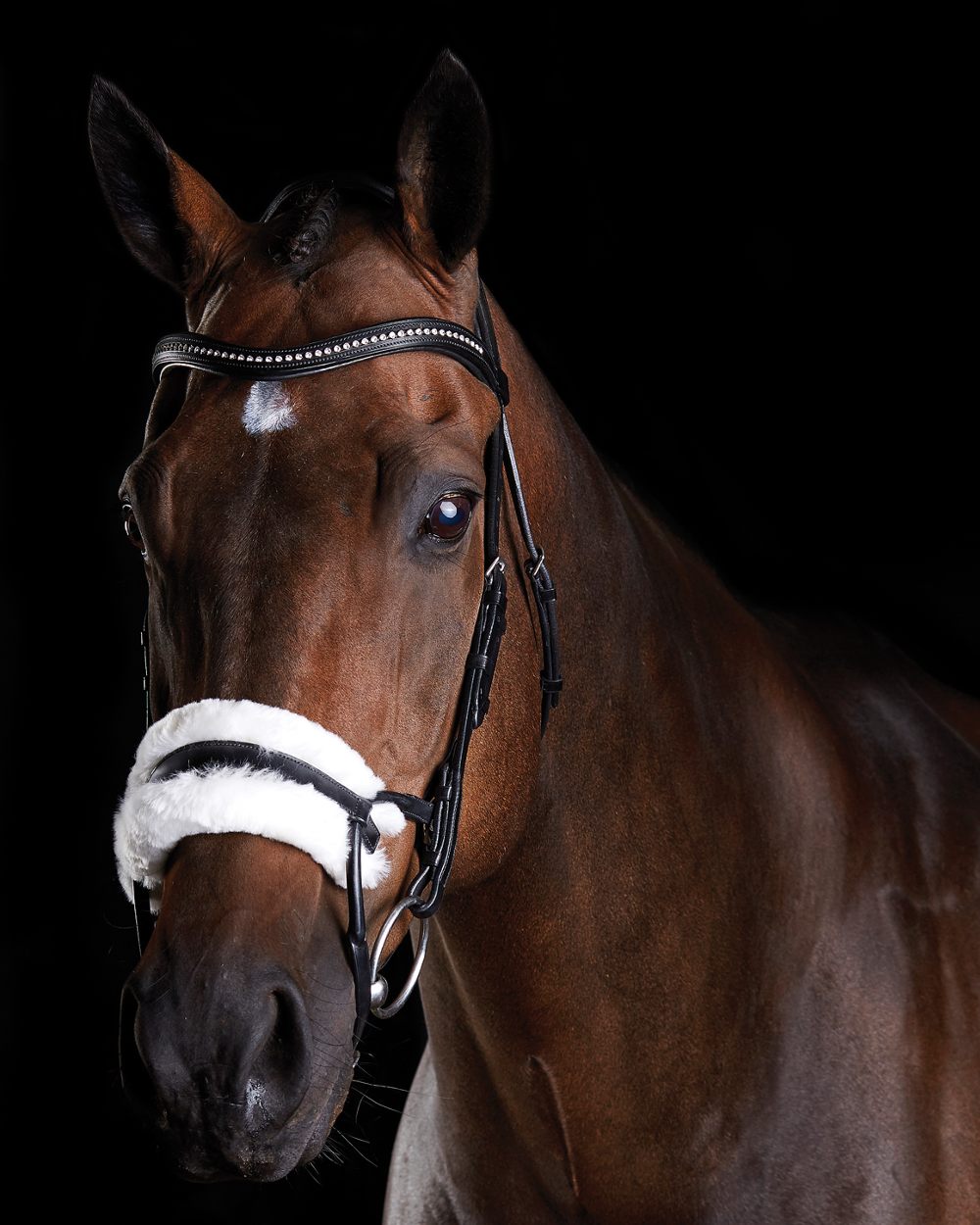 Black coloured Collegiate Comfitec Sheepskin Bridle on black background 