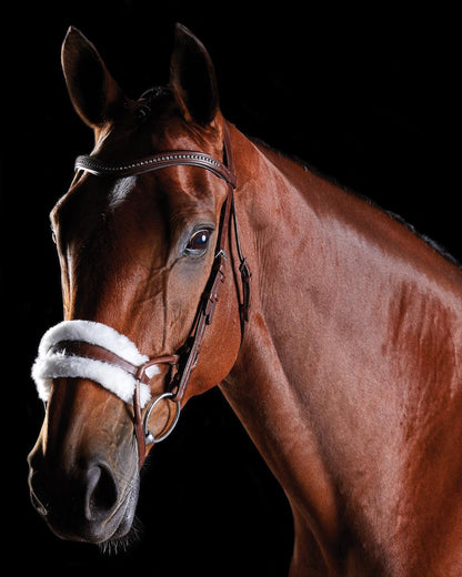 Brown coloured Collegiate Comfitec Sheepskin Bridle on black background 