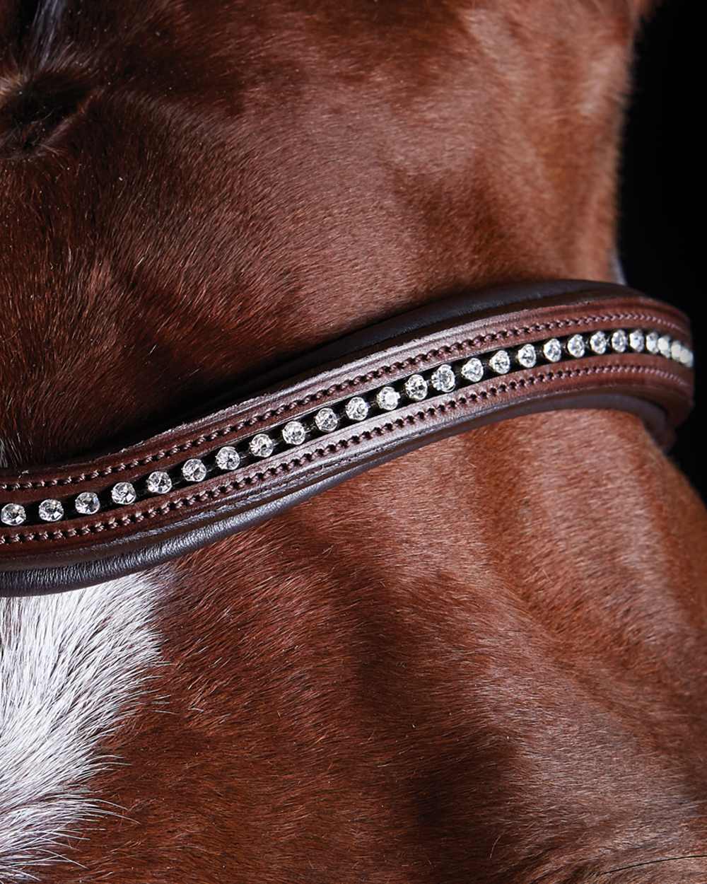 Brown coloured Collegiate Comfitec Sheepskin Bridle on black background 