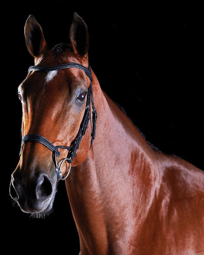 Black coloured Collegiate Comfitec Training Bridle on black background 