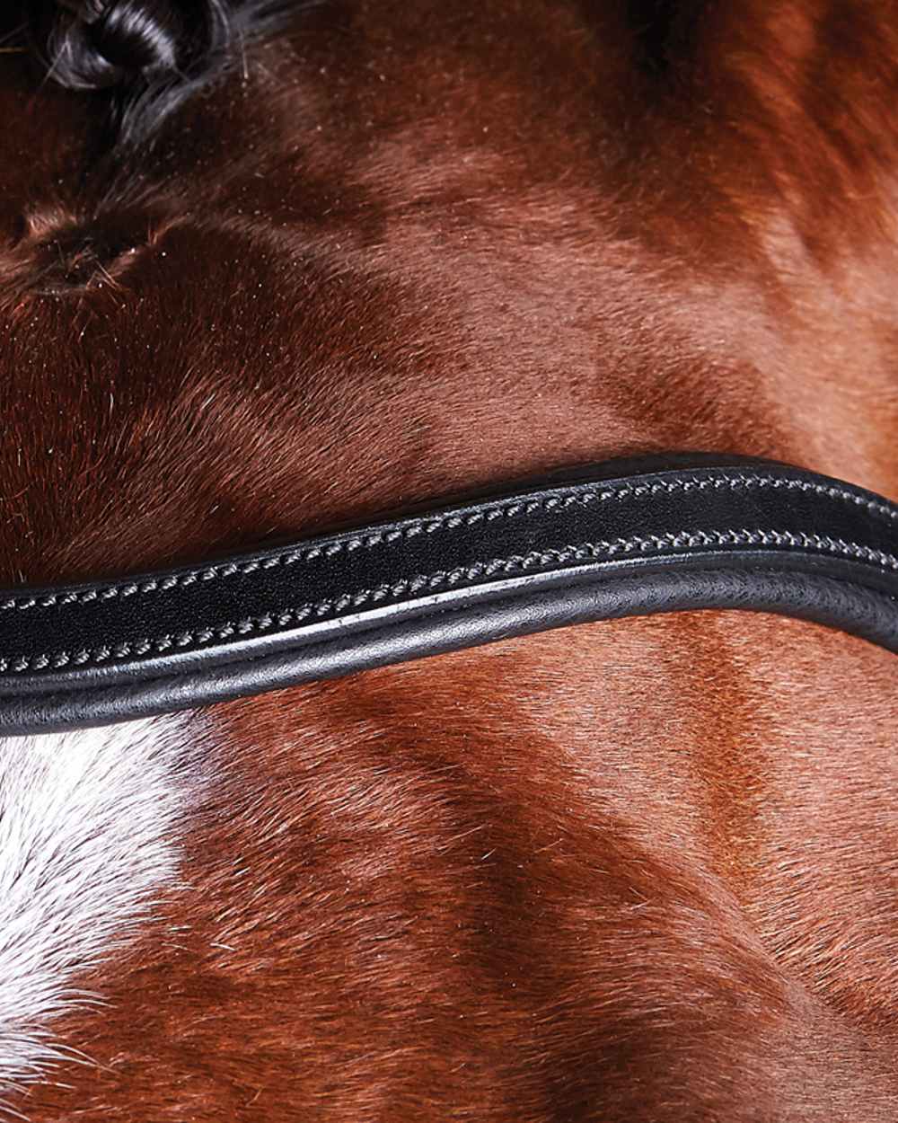 Black coloured Collegiate Comfitec Training Bridle on blurry background 