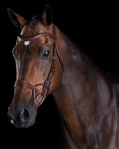 Brown coloured Collegiate Comfitec Training Bridle on blurry background 