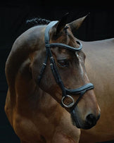 Collegiate Comfitec training hoofdstel bruin Collegiate Comfitec training hoofdstel bruin