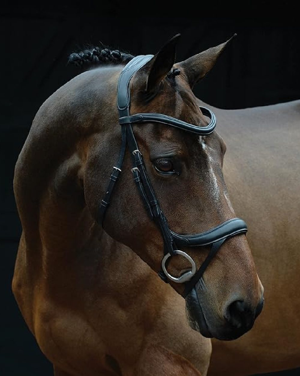 Black coloured Collegiate Comfitec Vogue Anatomical Bridle on black background 