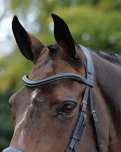 Black coloured Collegiate Comfitec Vogue Anatomical Bridle on blurry background 