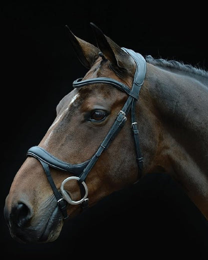 Black coloured Collegiate Comfitec Vogue Anatomical Bridle on black background 