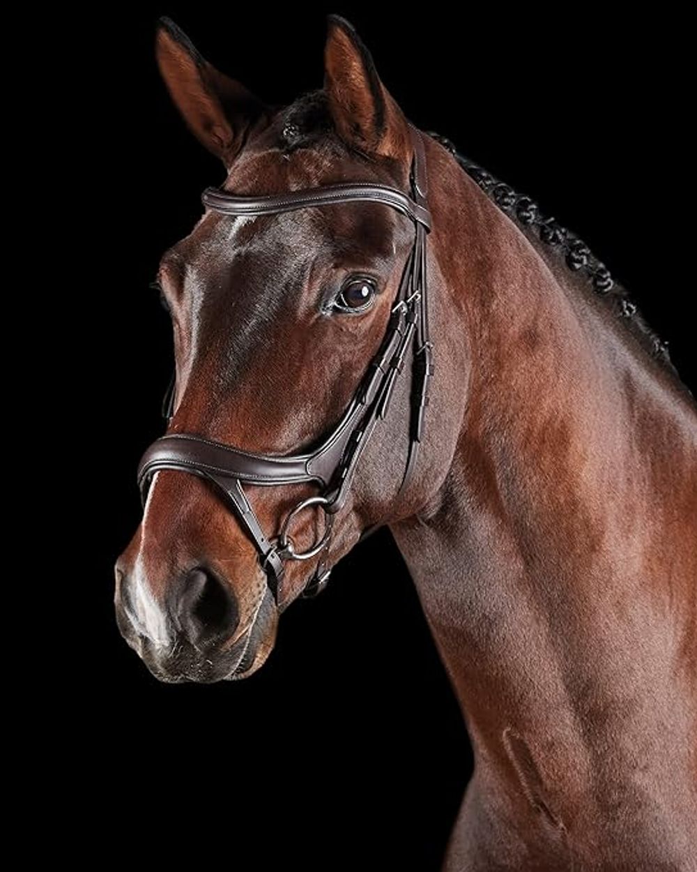 Brown coloured Collegiate Comfitec Vogue Anatomical Bridle on black background 