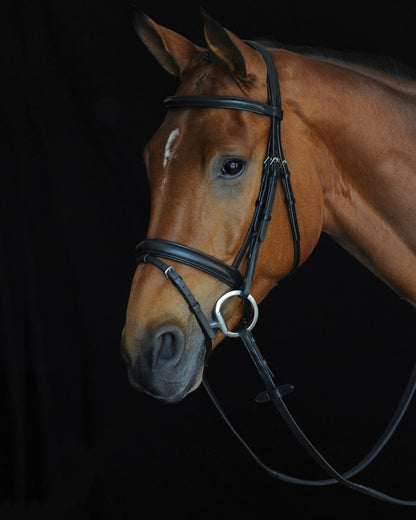 Black coloured Collegiate Comfort Crown Padded Raised Flash Bridle on black background 