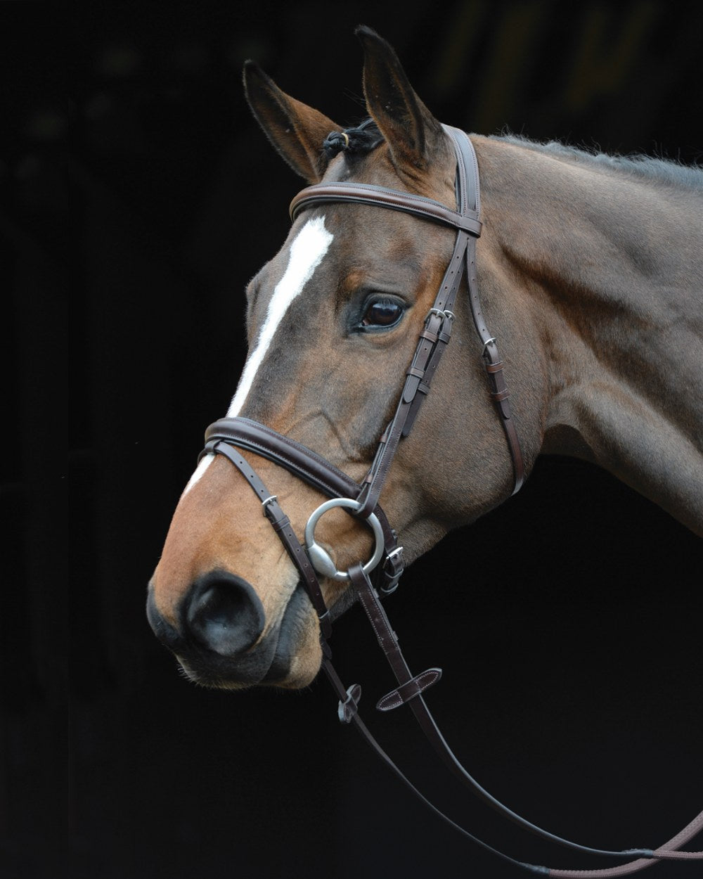 Brown coloured Collegiate Comfort Crown Padded Raised Flash Bridle on black background 