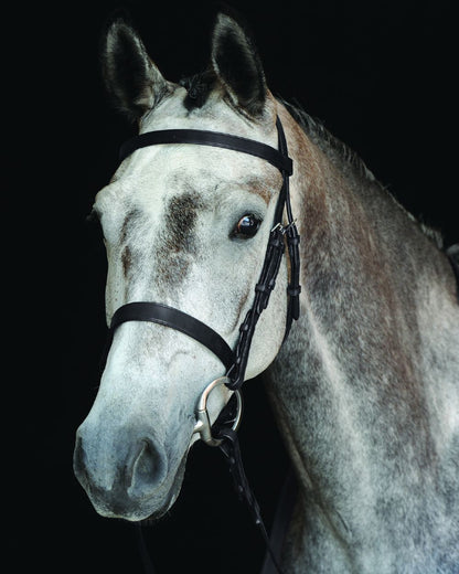 Black coloured Collegiate Hunt Cavesson Bridle IV on black background 