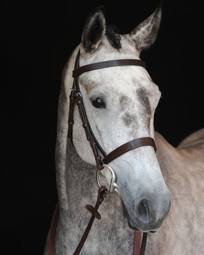 Brown coloured Collegiate Hunt Cavesson Bridle IV on black background 