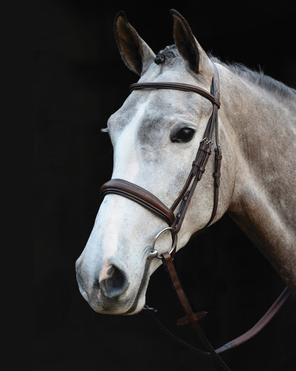 Brown coloured Collegiate Mono Crown Padded Raised Cavesson Bridle on black background 