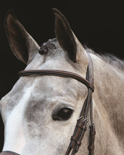 Brown coloured Collegiate Mono Crown Padded Raised Cavesson Bridle on black background 