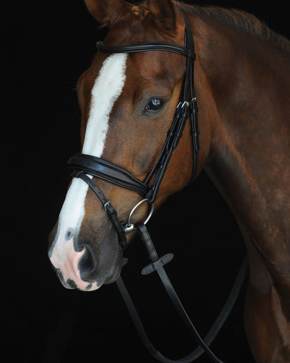 Black coloured Collegiate Mono Crown Padded Raised Flash Bridle on black background 