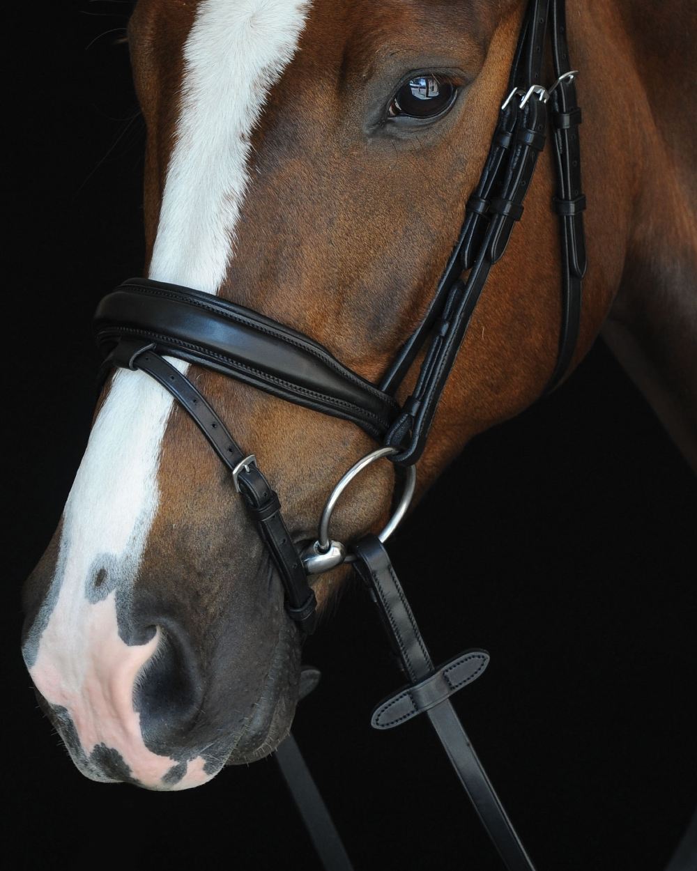 Black coloured Collegiate Mono Crown Padded Raised Flash Bridle on black background 