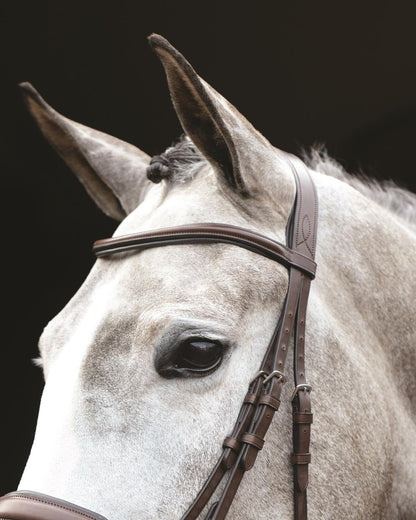 Brown coloured Collegiate Mono Crown Padded Raised Flash Bridle on black background 