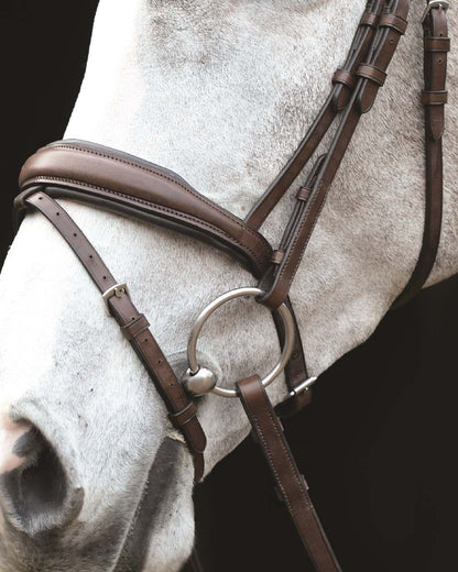 Brown coloured Collegiate Mono Crown Padded Raised Flash Bridle on black background 