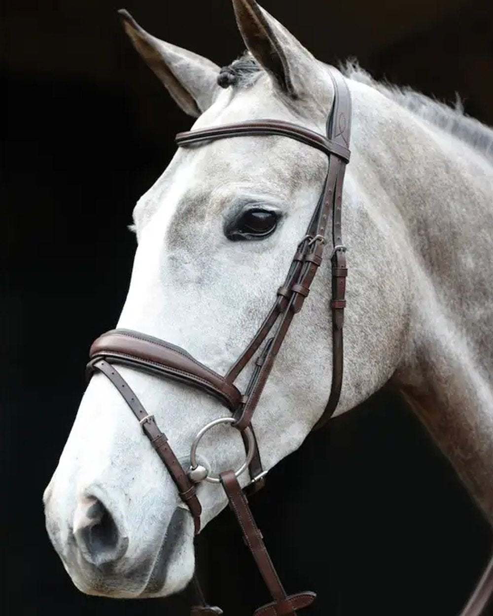 Brown coloured Collegiate Mono Crown Padded Raised Flash Bridle on black background 