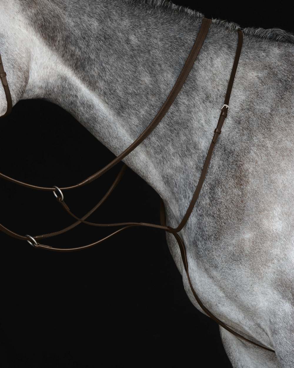 Brown coloured Collegiate Running Martingale IV on black background 