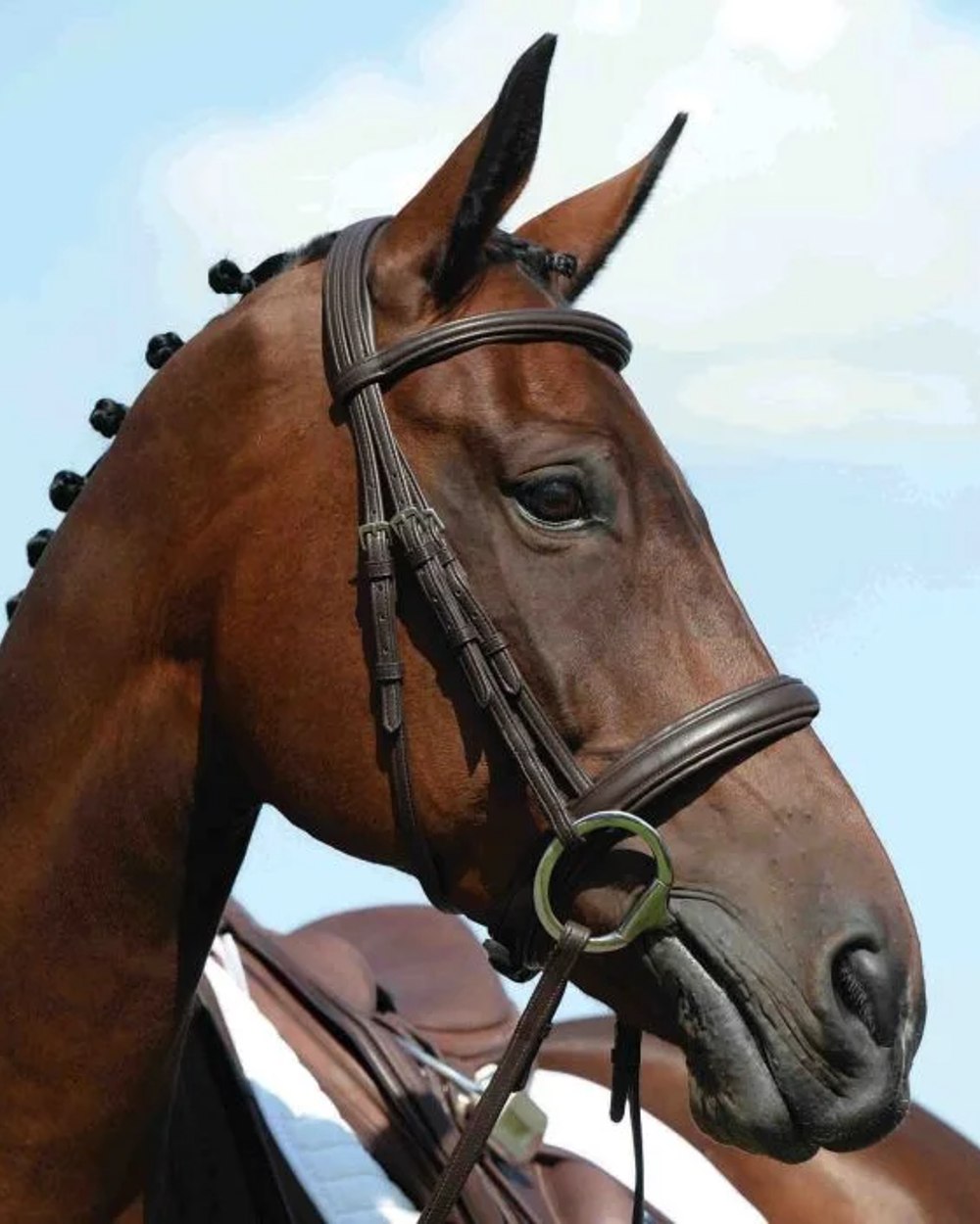 Brown coloured Collegiate Syntovia Plus Padded Raised Cavesson Bridle on sky background 