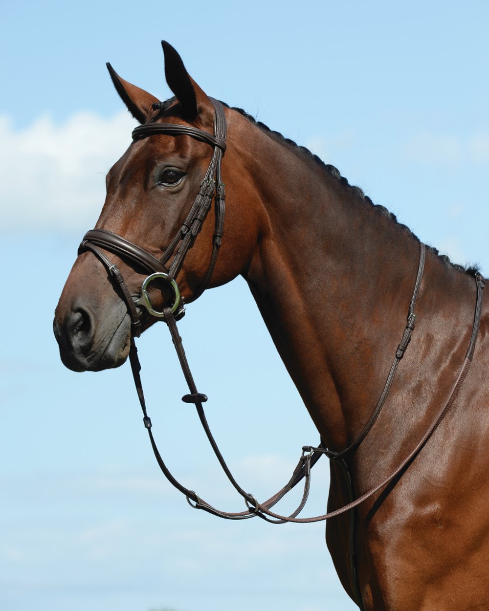 Brown coloured Collegiate Syntovia Plus Plain Flat Running Martingale on sky background 