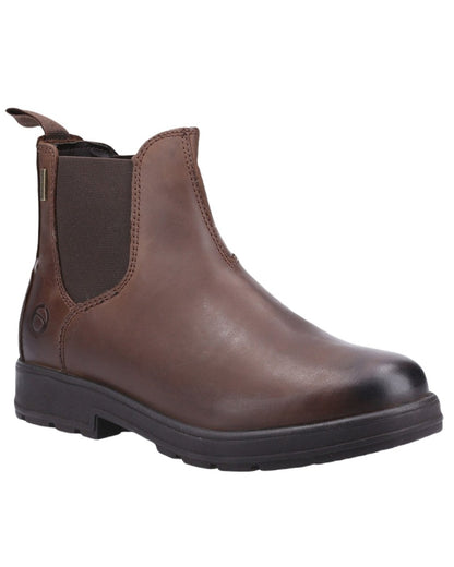 Brown coloured Cotswold Farmington Chelsea Boots on white background 
