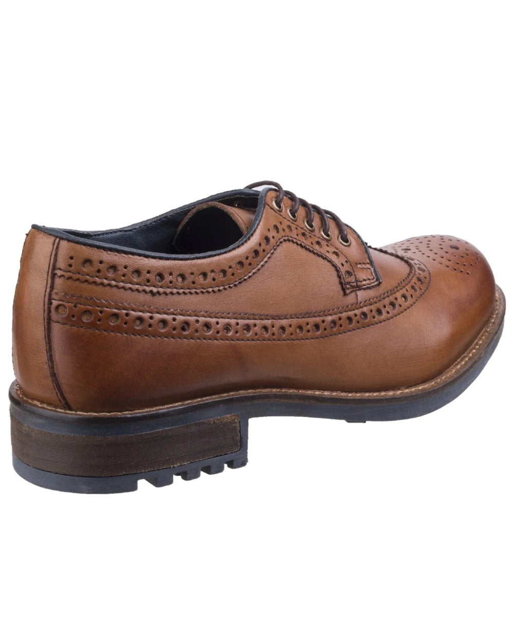 Tan coloured Cotswold Poplar Brogue Dress Shoes on white background 