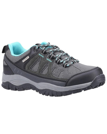 Grey coloured Cotswold Womens Maisemore Low Hiking Shoes on white background 