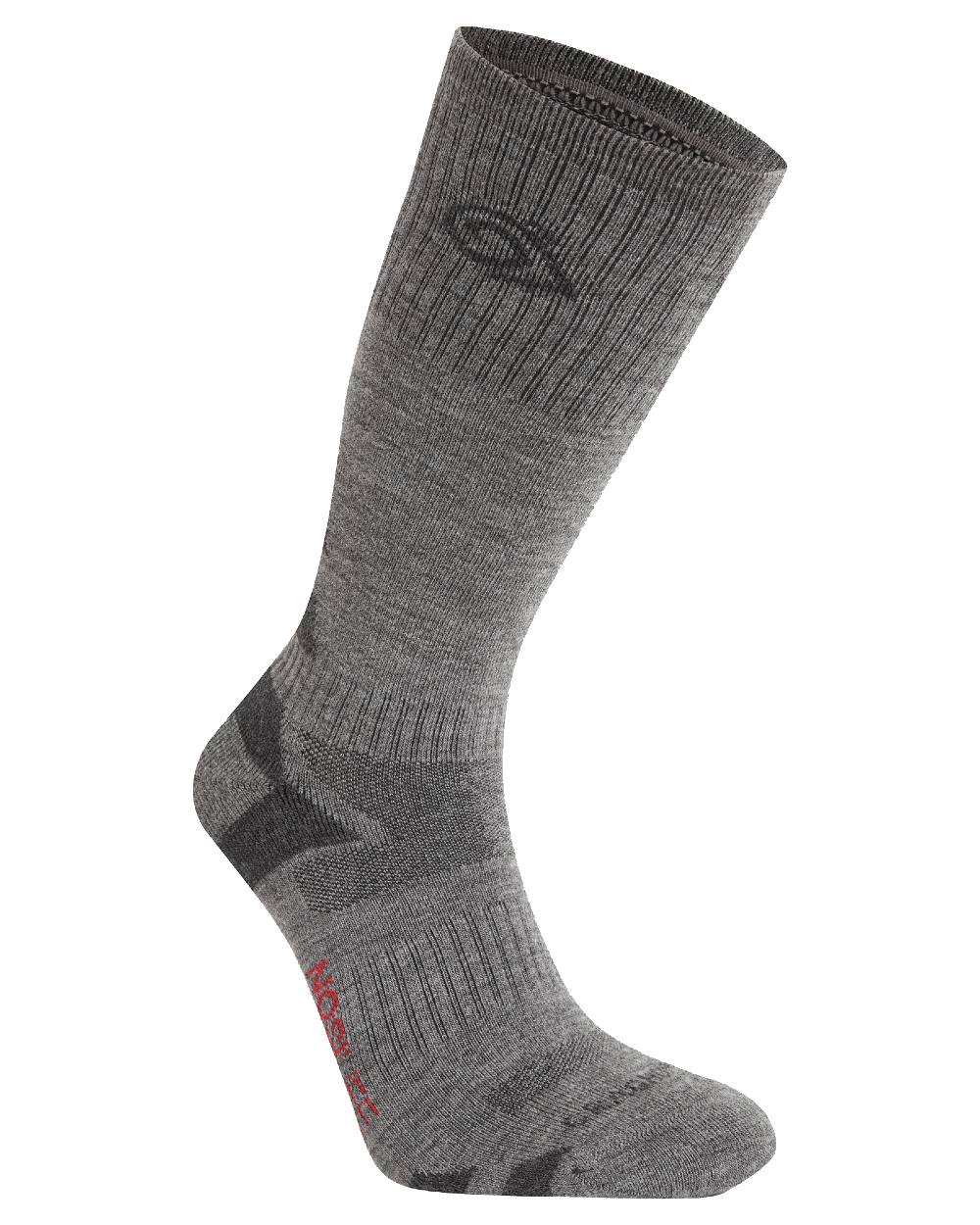 Coast Grey Black Pepper coloured Craghoppers Insect Repellent Adventure Wool Blend Socks on white background 