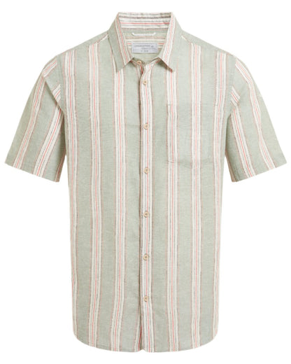 Lichen Green Stripe Coloured Craghoppers Mens Argino Short Sleeved Shirt on white background 