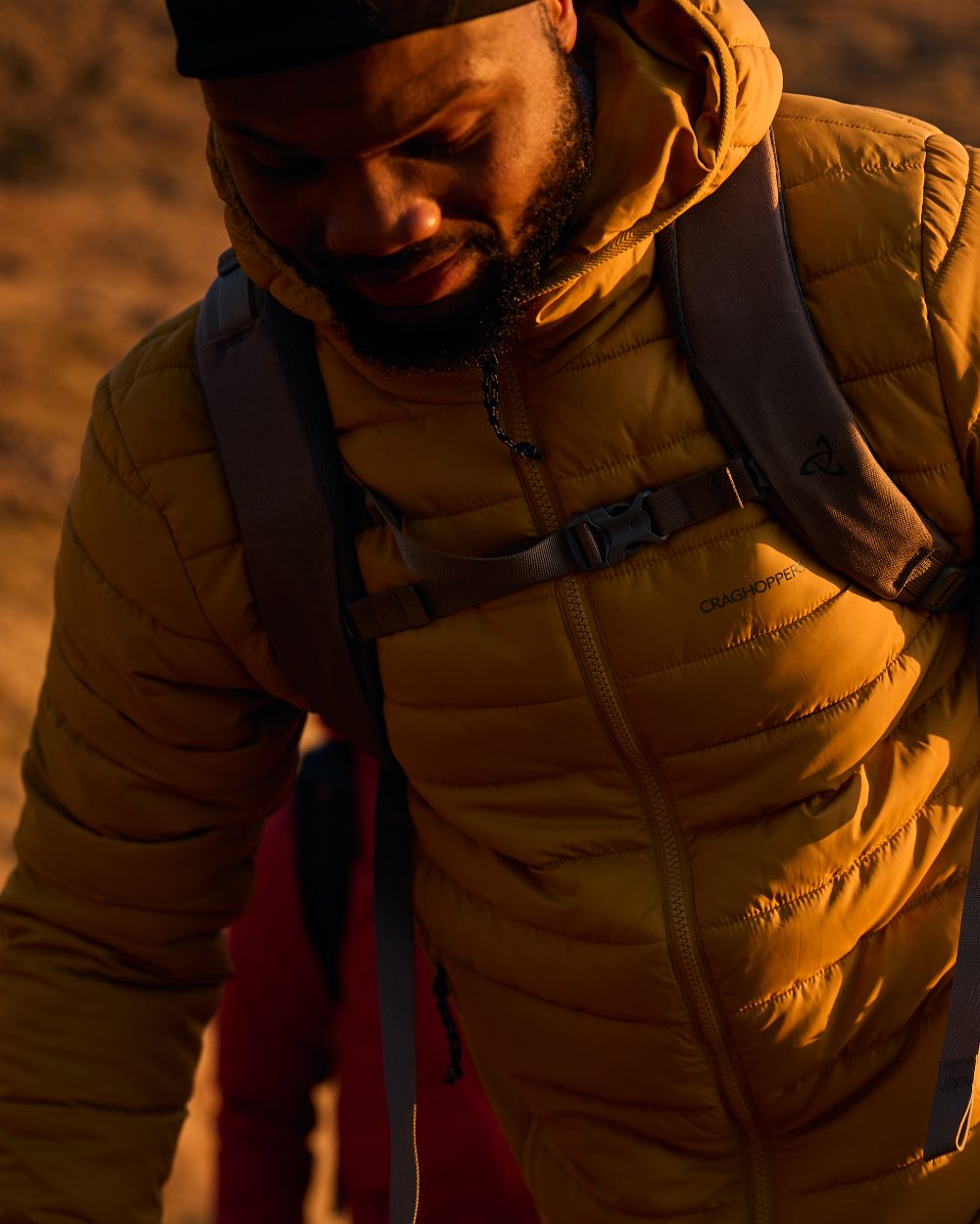 Beeswax coloured Craghoppers Mens Compresslite IX Hooded Insulating Jacket on mountain background 