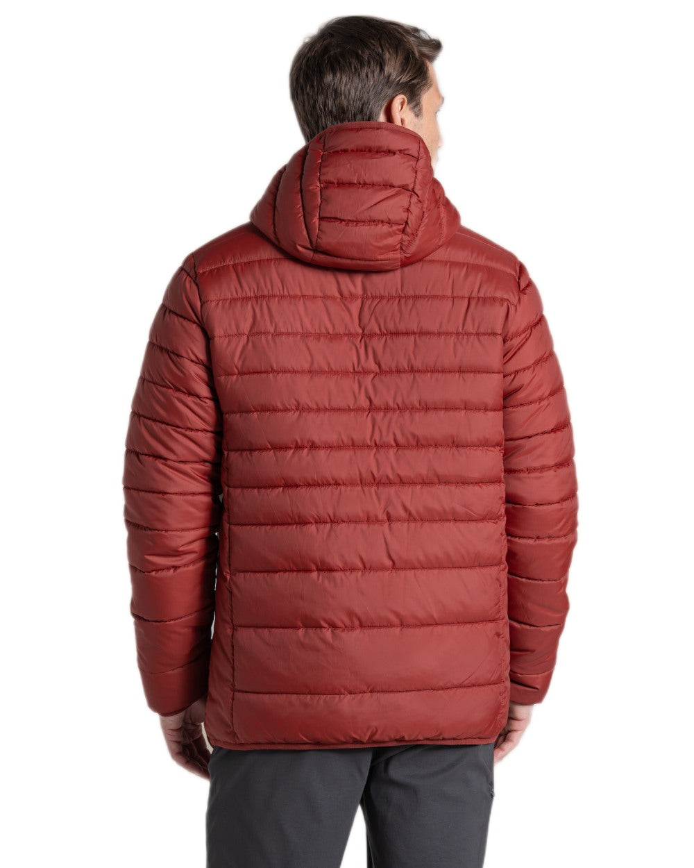 Red Jasper Coloured Craghoppers Mens Compresslite IX Hooded Insulating Jacket on white background 